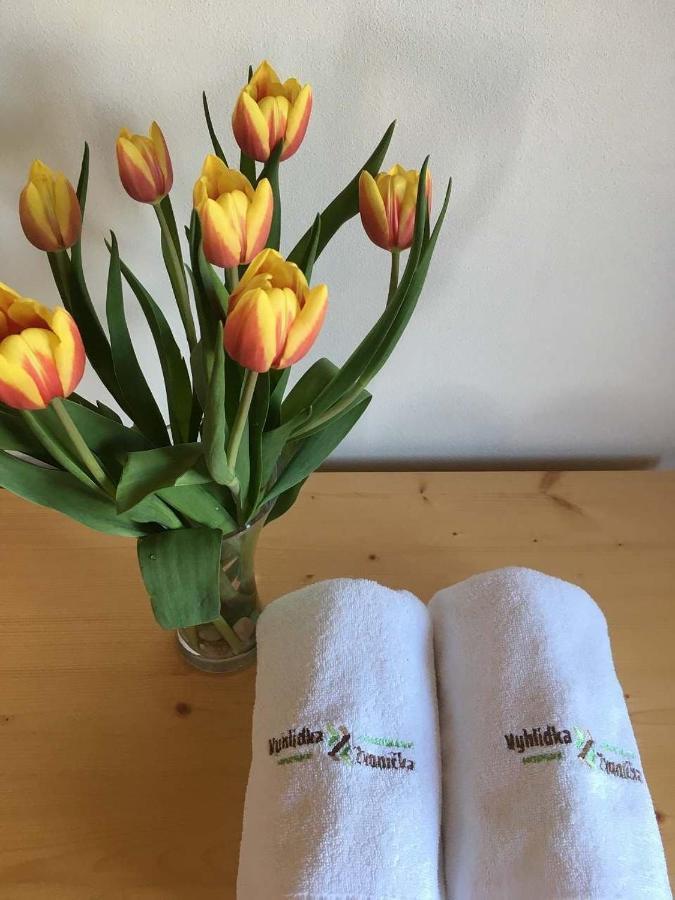 Horský apartmán Vyhlídka Rejvíz Zlaté Hory Exteriér fotografie